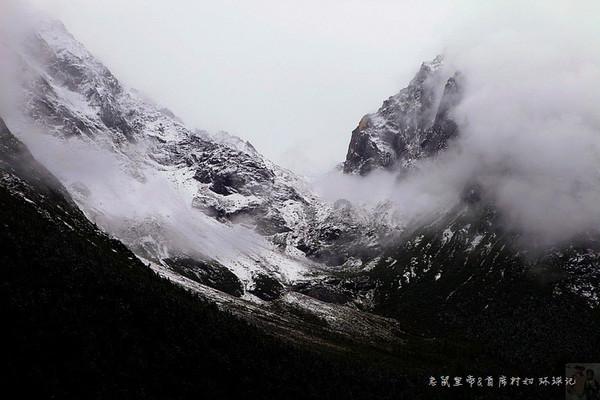 坦克动荡加强版